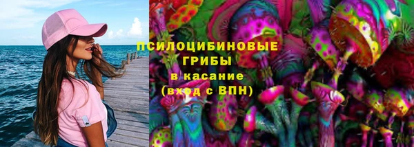 мескалин Инсар