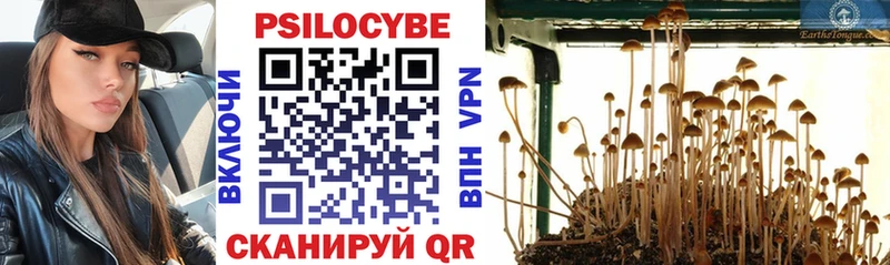 Купить где  Новохопёрск  Псилоцибиновые грибы MAGIC MUSHROOMS 
